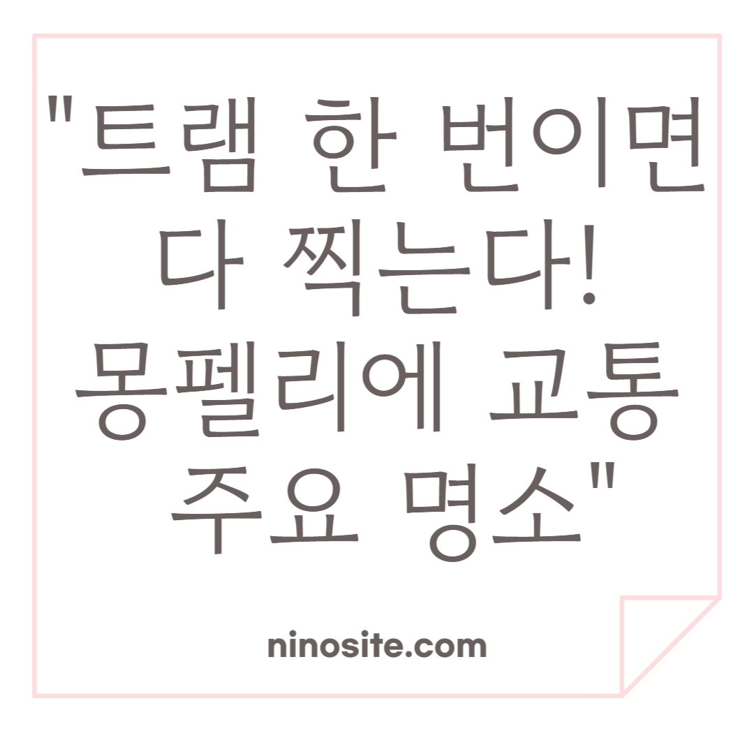 몽펠리에 여행 소개 이미지