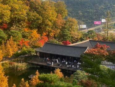 2024화담숲 가을단풍축제
