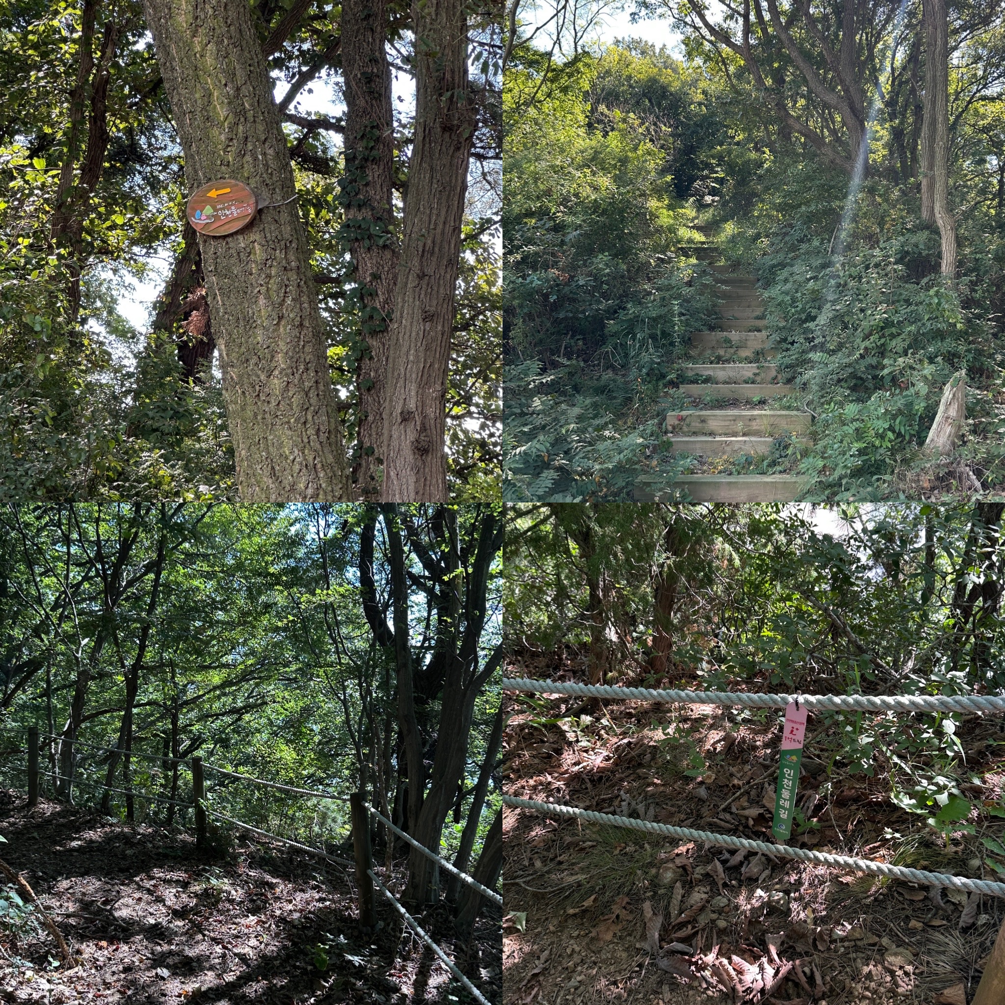 인천둘레길 16코스 장봉도 (해안둘레길)