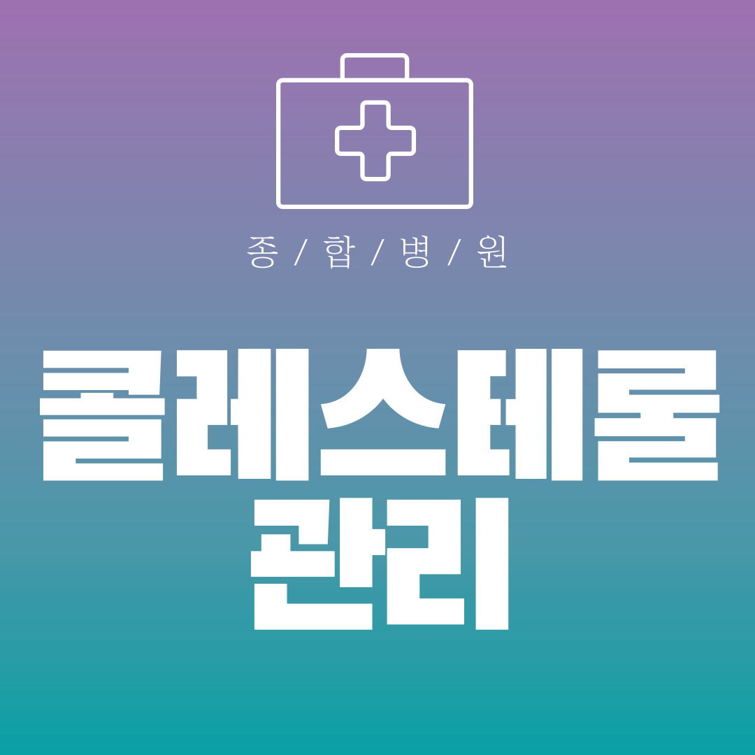 콜레스테롤 관리