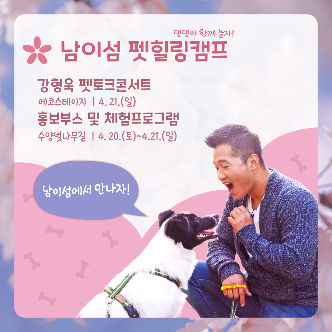 벚꽃축제 일정