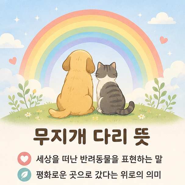 강아지와 고양이가 평온한 무지개 앞에 있는 모습을 통해 무지개 다리가 세상을 떠난 반려동물을 부드럽게 표현하는 추모의 말임을 보여 주는 그림