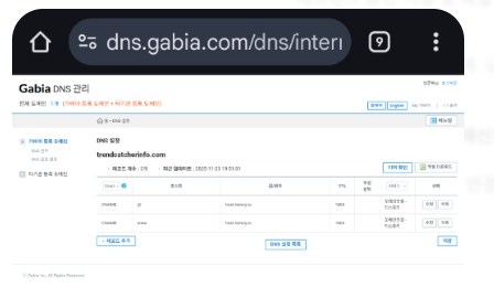 티스토리 개인 도메인 연결 후 사이트를 찾을 수 없음 오류가 뜨는 화면 예시