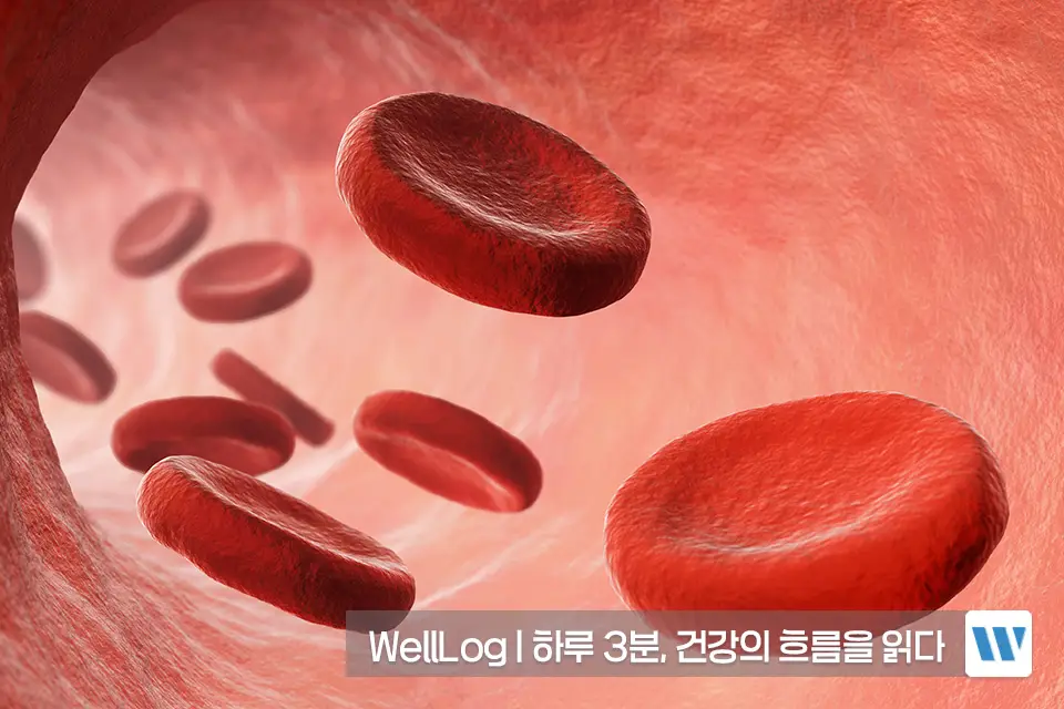 포스파티딜세린 오메가3 효능 비교