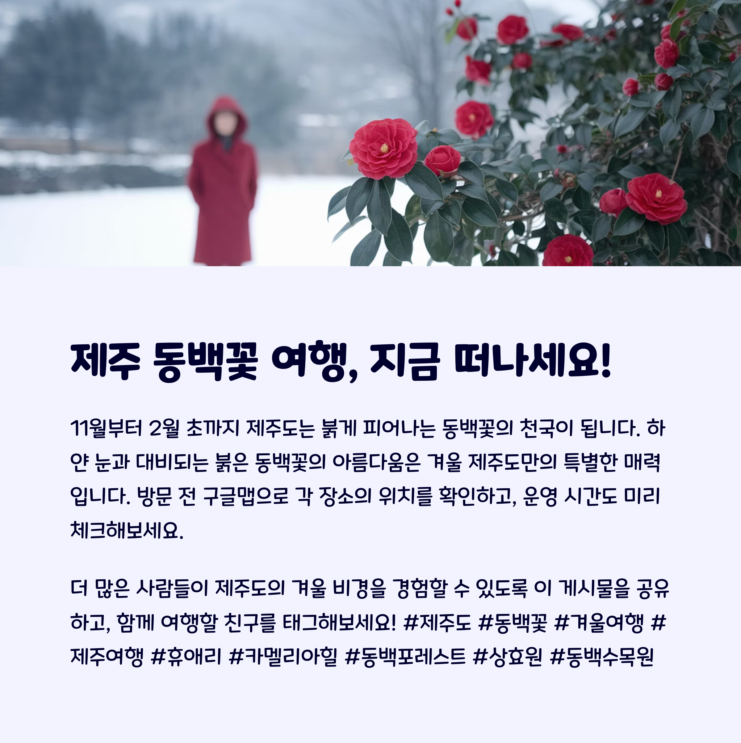 제주여행