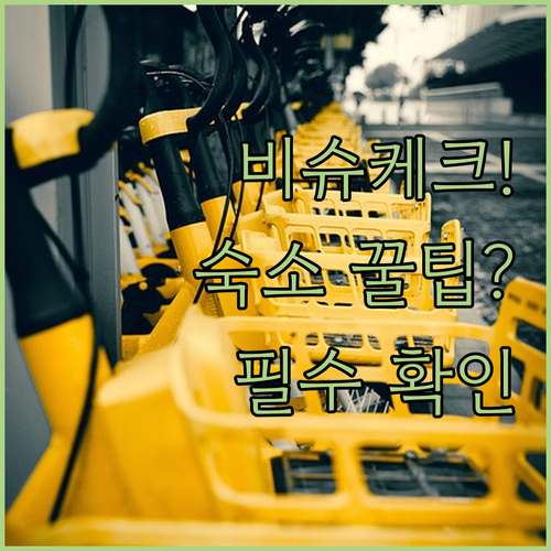 성공적인 비슈케크 여행을 위한 레베디..
