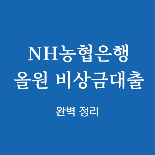 NH농협은행 올원 비상금대출 완벽 정리