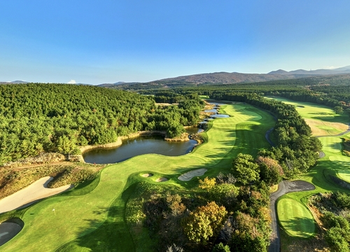 인기 골프장! 제주도 '클럽나인브릿지' 골프장 소개
