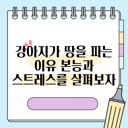 강아지가 땅을 파는 이유 본능과 스트레스를 살펴보자