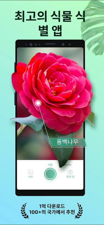 꽃 이름 찾기, 식물 이름 찾기, PictureThis