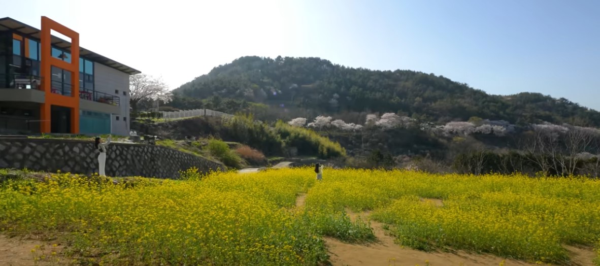 남도 여행지