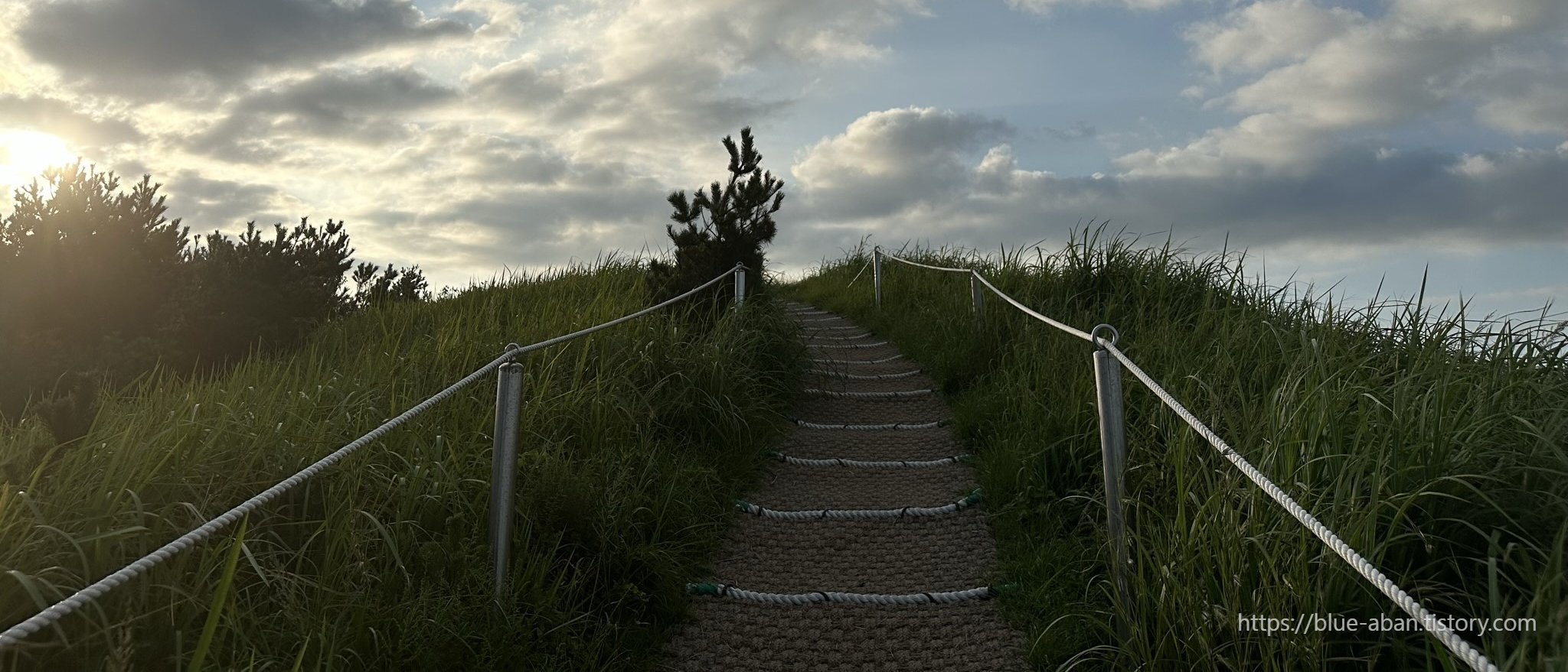 다랑쉬-오름-정상