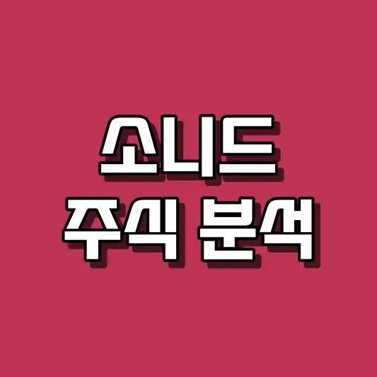 소니드 주식 분석