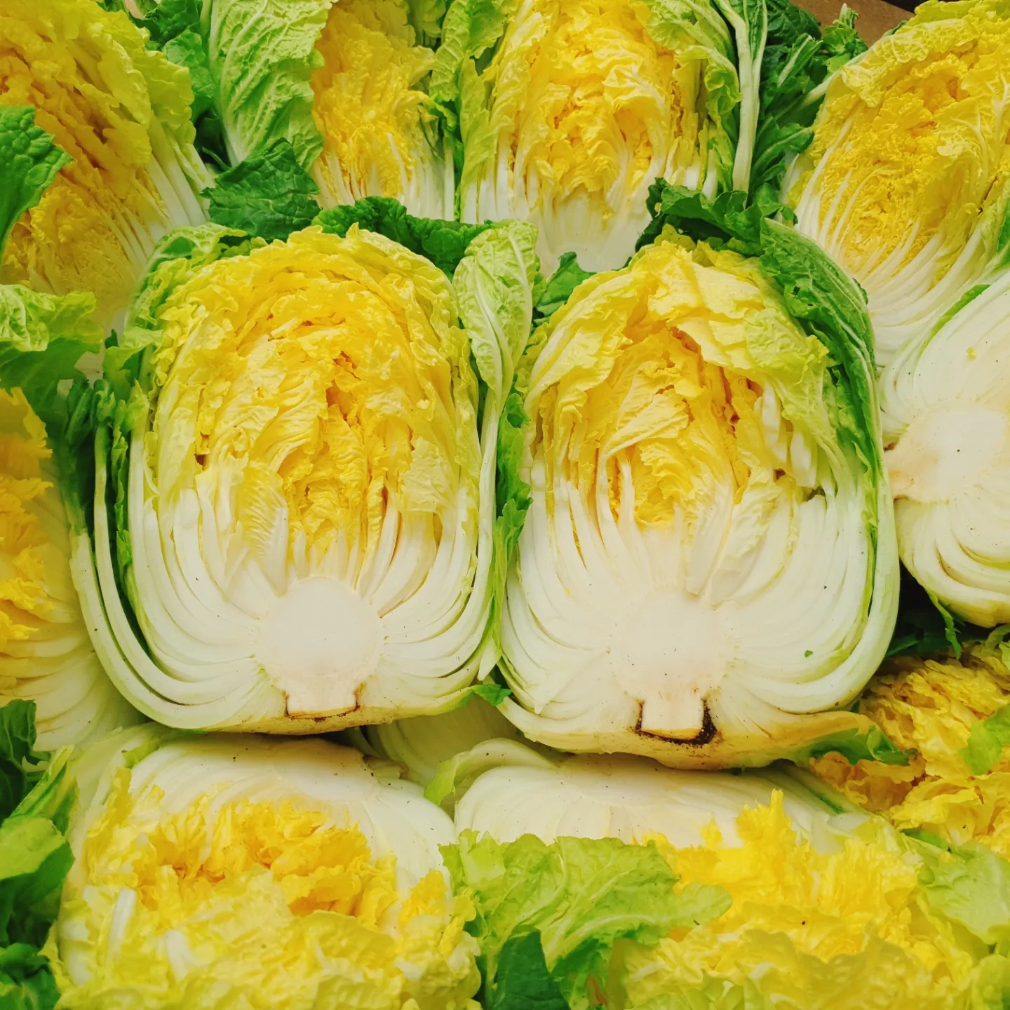 절임배추의 사용시기