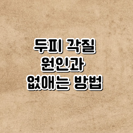 두피 각질 없애는법(두피 각질 원인과 두피 스케일링 법)