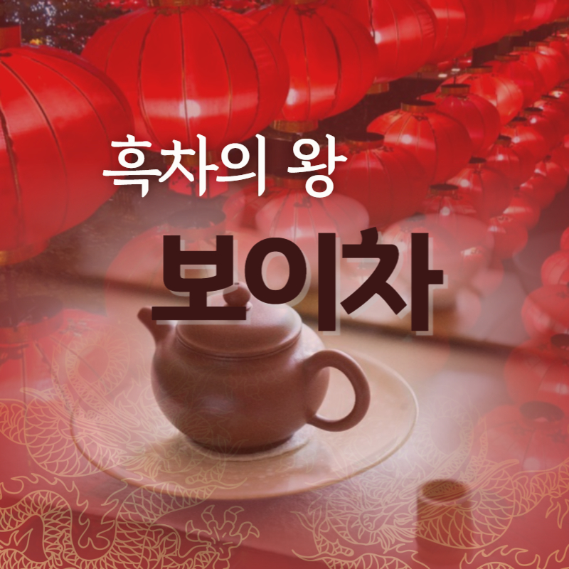 흑차의 왕 보이차