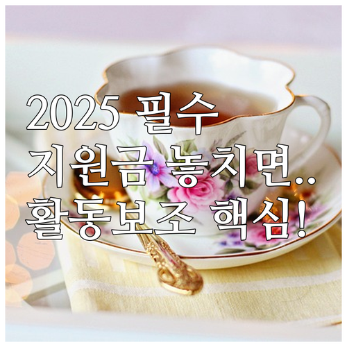 2025년 중증장애인 활동보조 지원,..