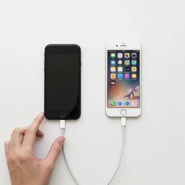 유선 케이블 연결