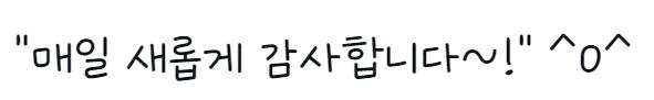 강원교육새음체