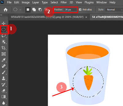 Feather : 페더 20px 입력