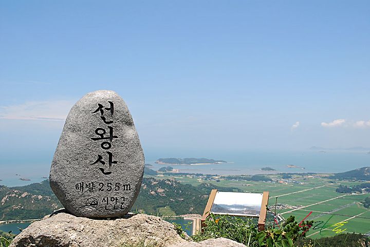 비금도 여행