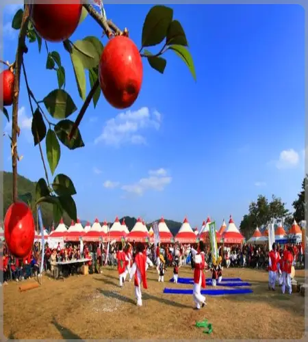 청송 사과축제_2