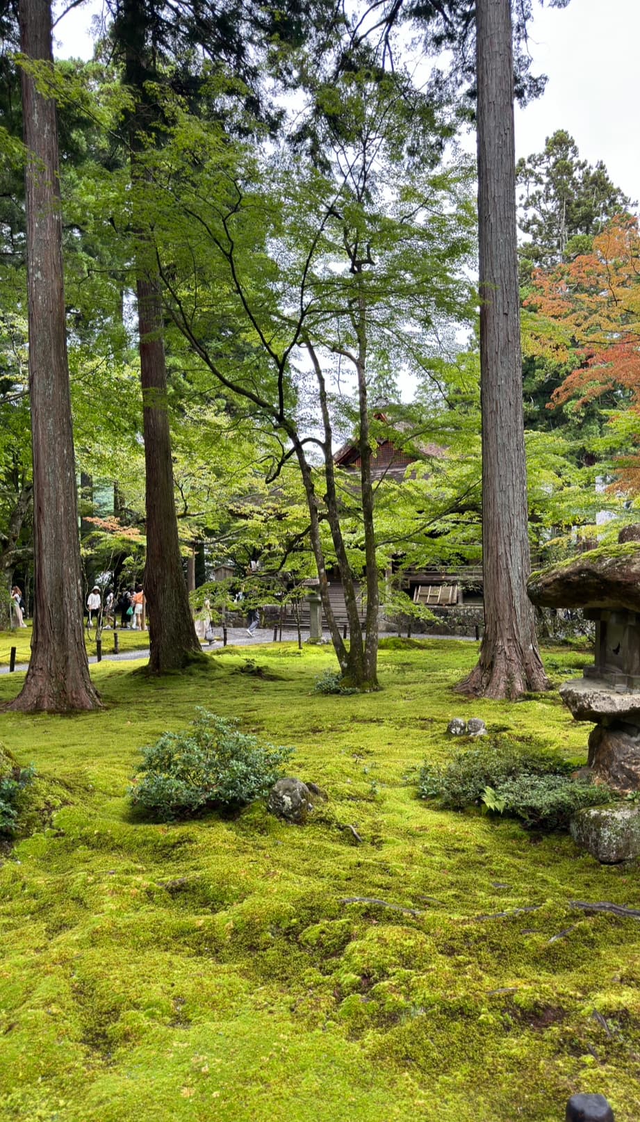 교토 오하라 산젠인 ❘ 계절마다 다른 풍경을 품은 천년 고찰