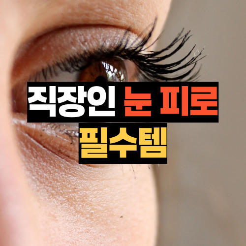 눈 건강 영양제