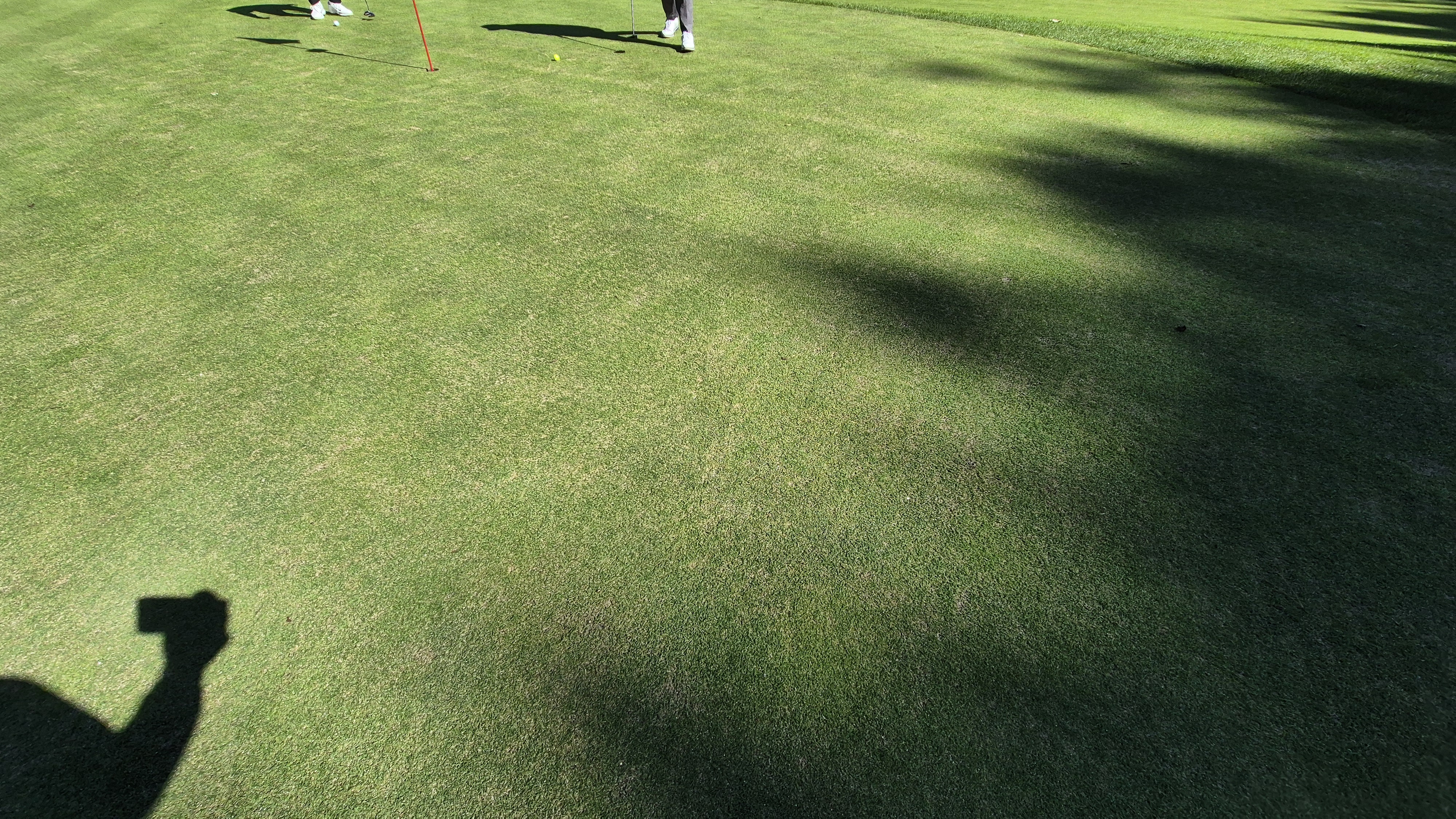 떼제베cc 동-북 코스 그린 관리 상태