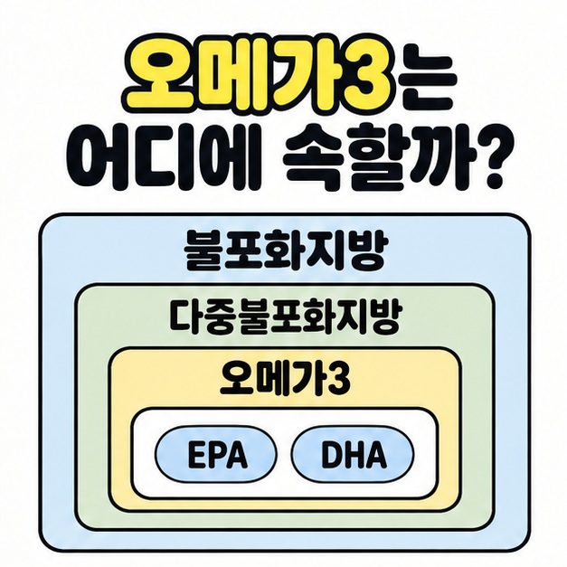 불포화지방 안에 다중불포화지방, 오메가3, EPA와 DHA를 차례로 포함한 분류 도식