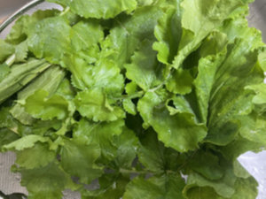 시래기 된장국 끓이는법 - 무청 세척