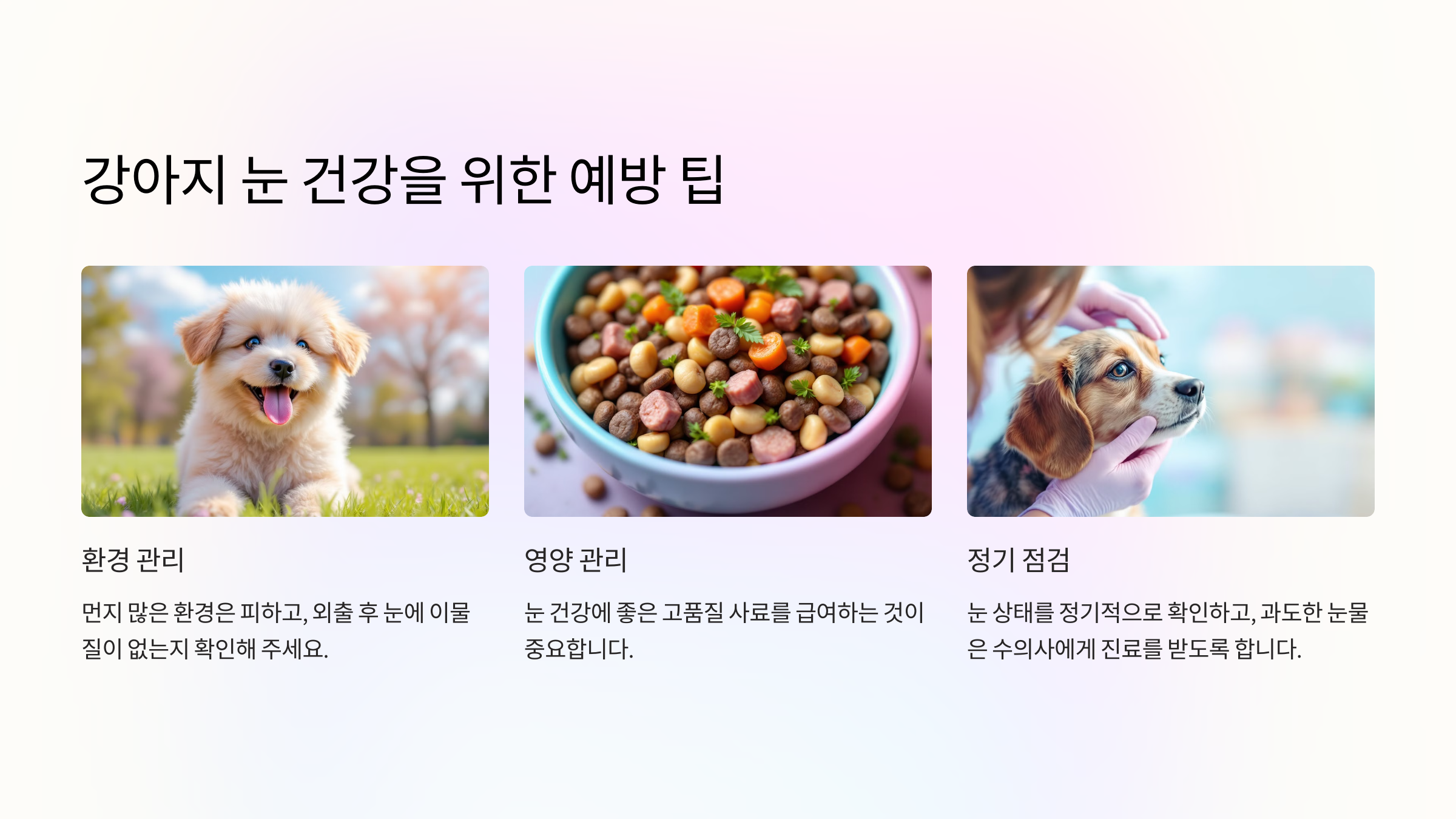 강아지 눈 건강을 위한 예방 팁