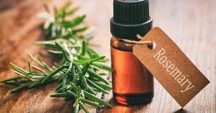 탈모에 좋은 식물성 제품 