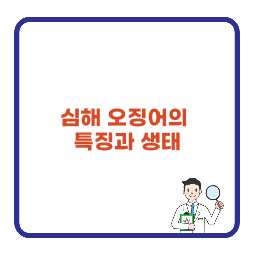 심해 오징어의 특징과 생태