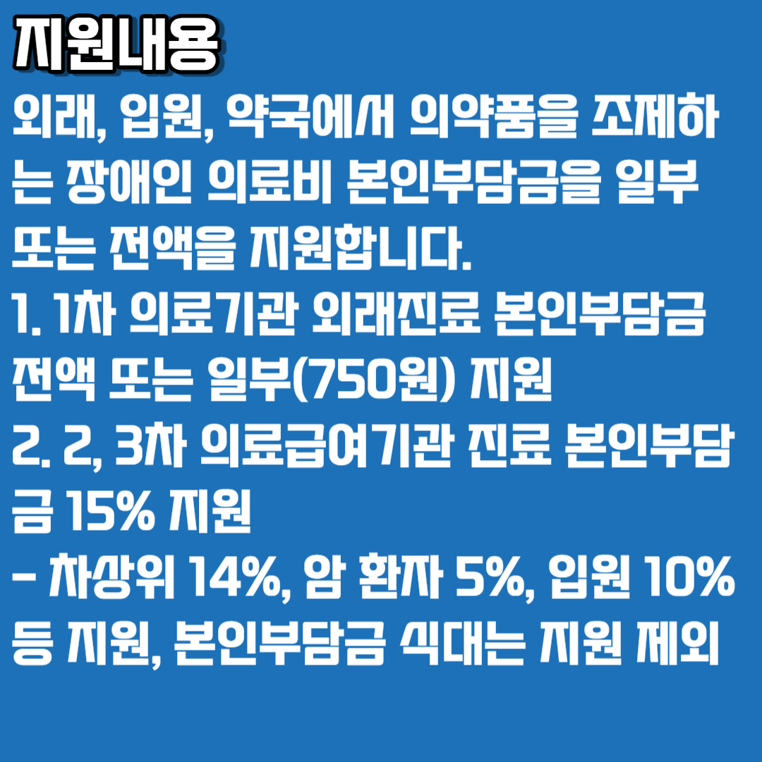 2023 장애인의료비지원