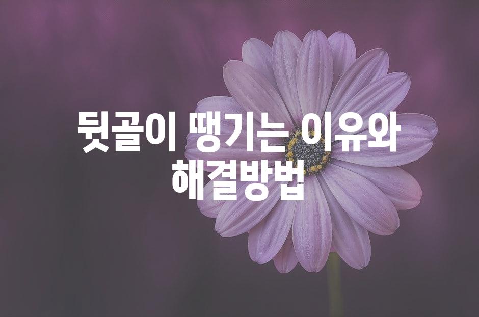샘플 (50)