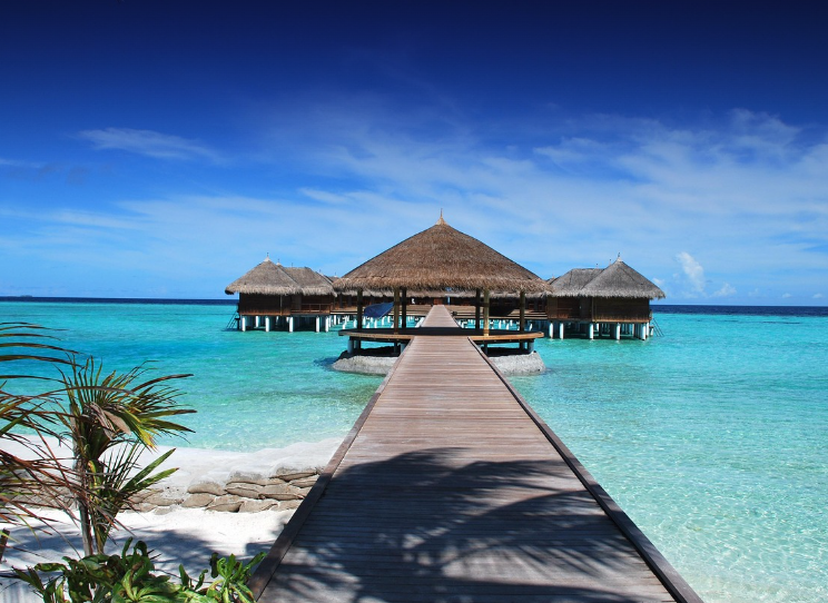 호주 시드니 근교 바다여행의 진짜 매력.