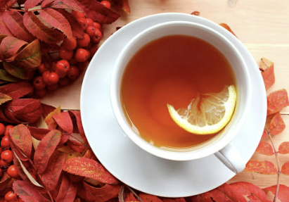 마가목 효능 부작용 먹는 방법 재배 열매, 나무 총정리