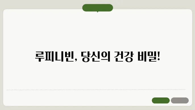 룤피니빈 효능 6가지와 먹늕 법, 주의사항