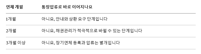연체개월 수