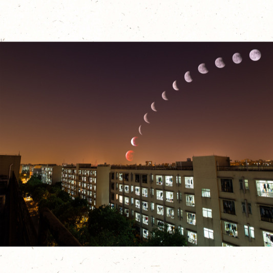 필수 준비물 보온 장비와 모기 기피제