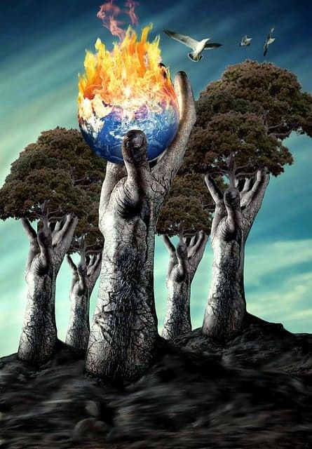 기후 변화 적응 산업의 성장과 미래 전망