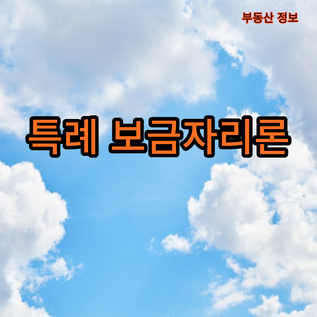 특례 보금자리론