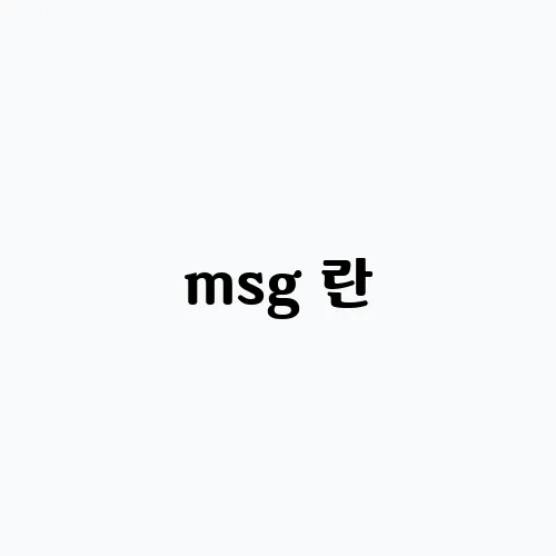msg 란