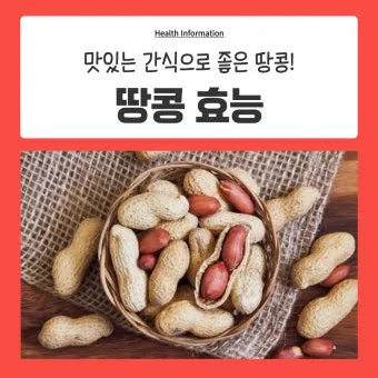 땅콩 심는시기 파종법 중부 남부_6