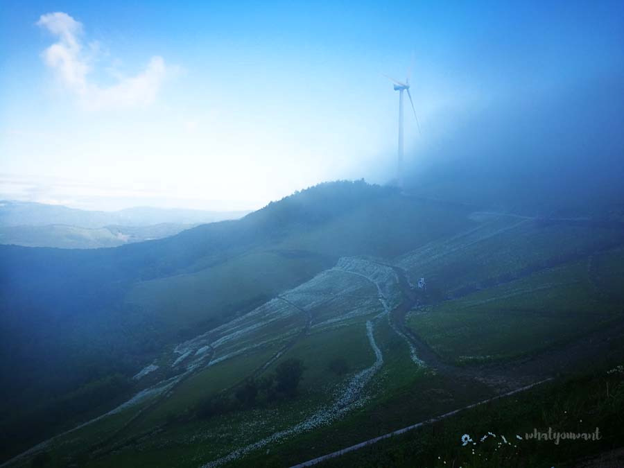 평창 육백마지기 풍경 ❘ 운해와 바람이 머무는 시간