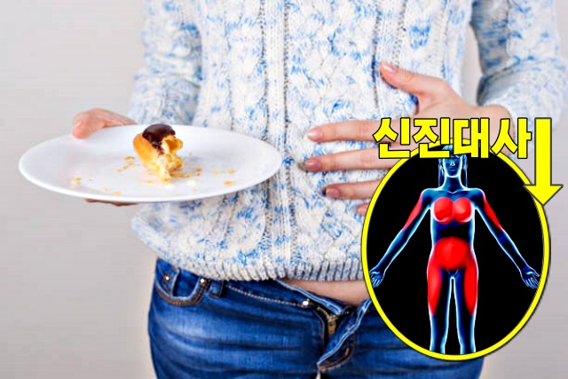 30대 여성 남성 먹는양, 건강 팁줌 매일꿀정보