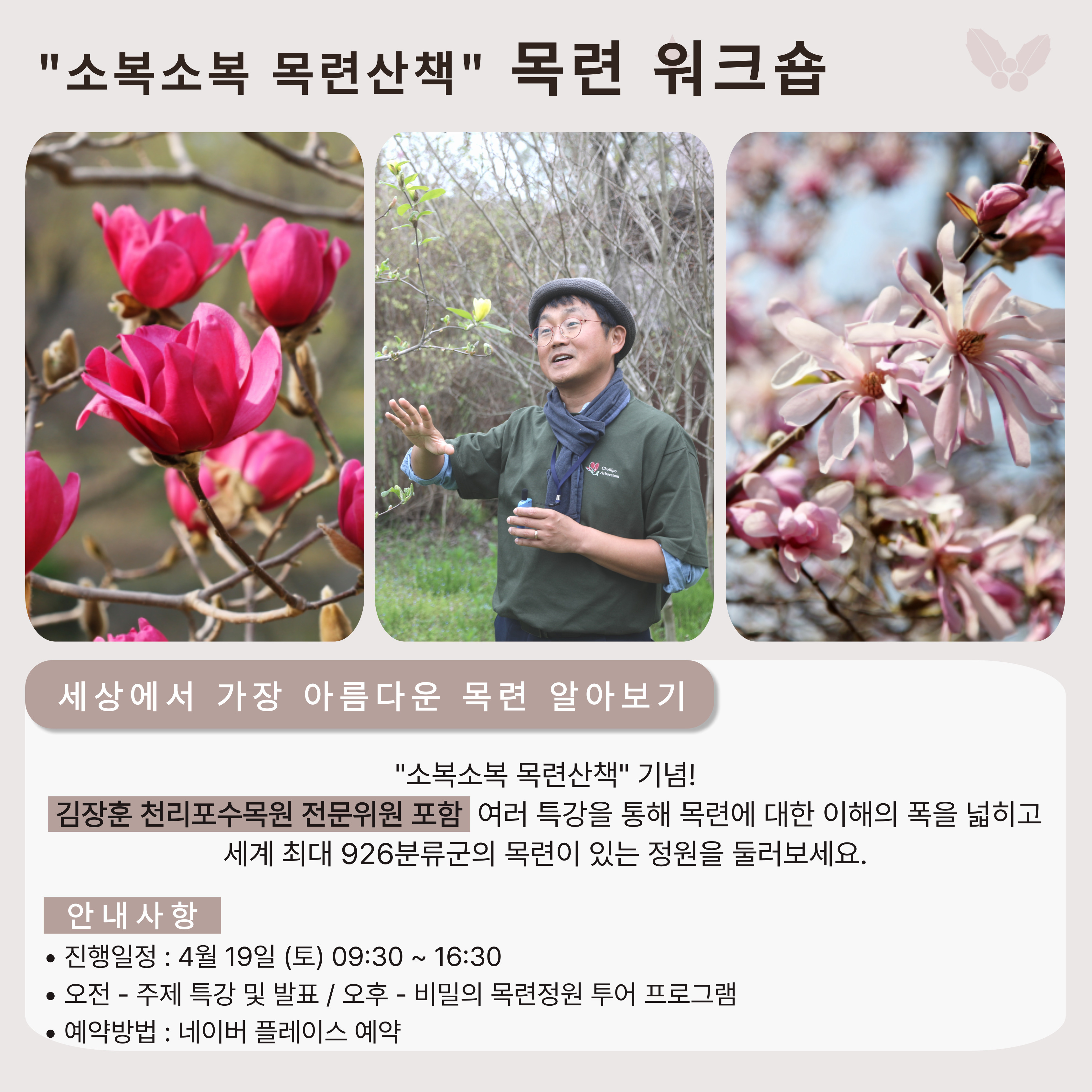 태안 천리포 수목원 목련축제 2025 주차 맛집 꿀팁 총정리