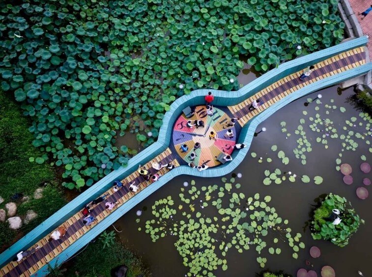 회산백련지-무안연꽃축제