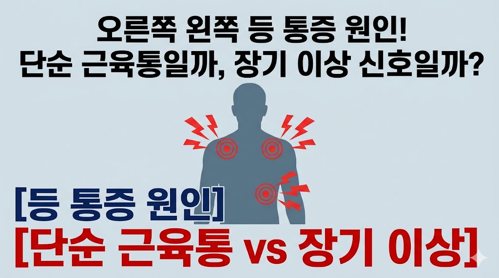 A thumbnail image for a blog post explaining the various causes of upper and개 lower back pain, distinguishing between muscle pain and internal organ issues.